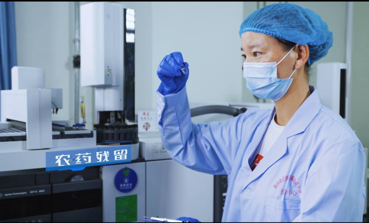 农残检测
